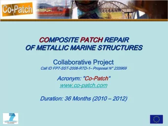 Collaborative Project  Call ID FP7-SST-2008-RTD-1 Proposal N 233969  Acronym: