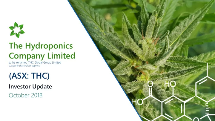 the hydroponics