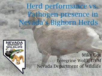 Herd performance vs.  Pathogen presence in  Nevadas Bighorn Herds  Mike Cox  Peregrine Wolff,