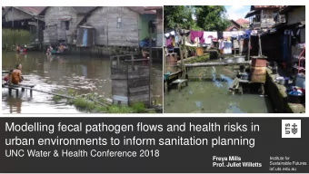 Modelling fecal pathogen flows and health risks in  urban environments to inform sanitation