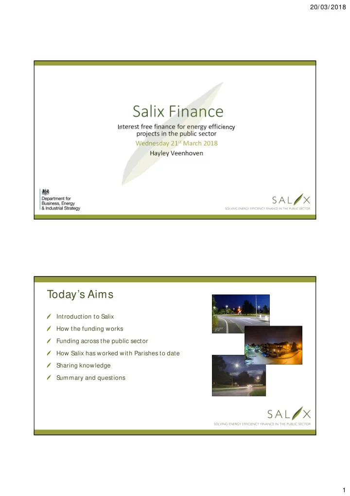 salix finance