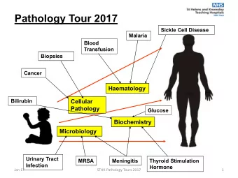 Pathology Tour 2017  Sickle Cell Disease  Malaria  Blood  Transfusion  Biopsies  Cancer