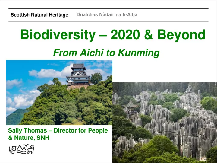 from aichi to kunming sally thomas director for people