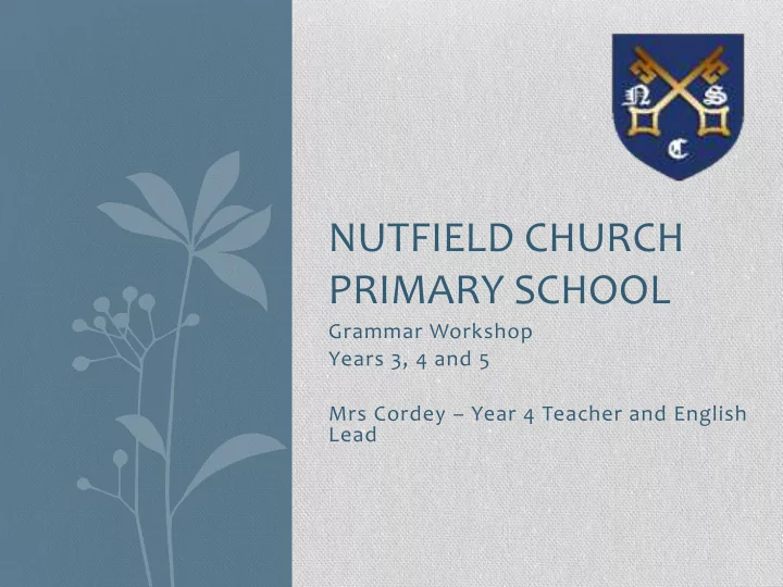nutfield church primary school