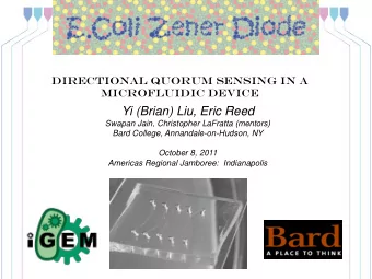 Yi (Brian) Liu, Eric Reed  Swapan Jain, Christopher LaFratta (mentors)  Bard College,