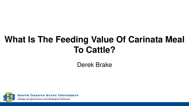 what is the feeding value of carinata meal