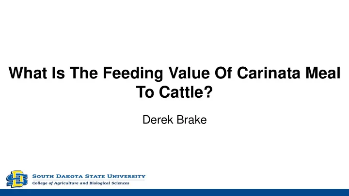 what is the feeding value of carinata meal