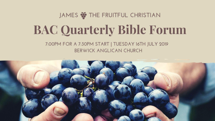 the book of james the fruitful christian