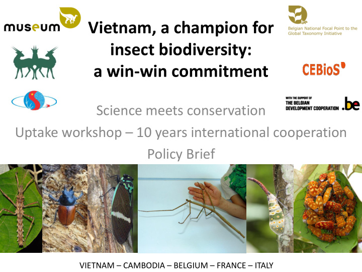 vietnam a champion for insect biodiversity a win win