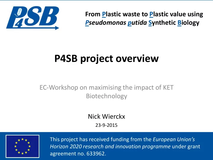 p4sb project overview