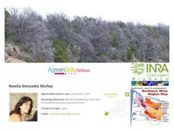 Assessing the main drivers of  conifer climate induced mortality  at global, regional and plant