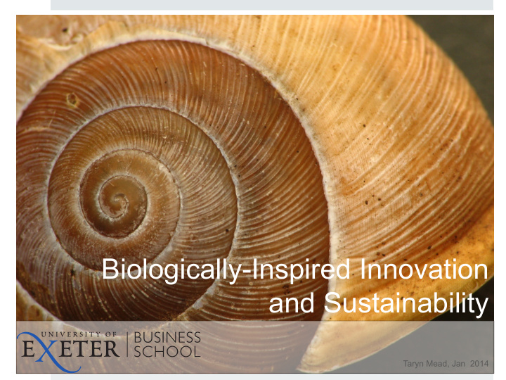 biologically inspired innovation and sustainability