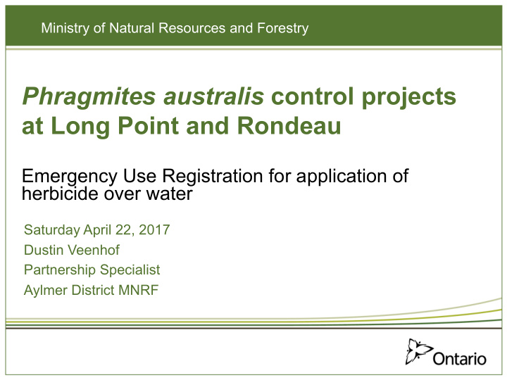 phragmites australis control projects at long point and