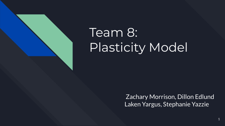 team 8 plasticity model
