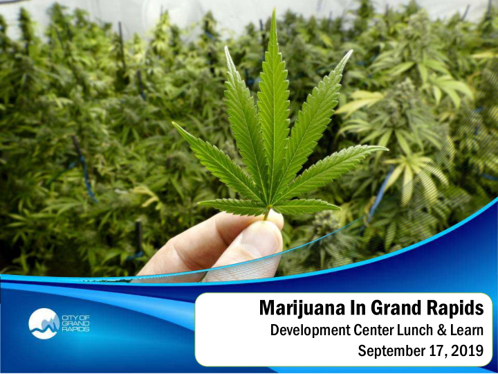 marijuana in grand rapids