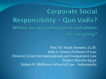 Director, Center for International and Comparative Law  Project Director Egypt  Robert H. McKinney