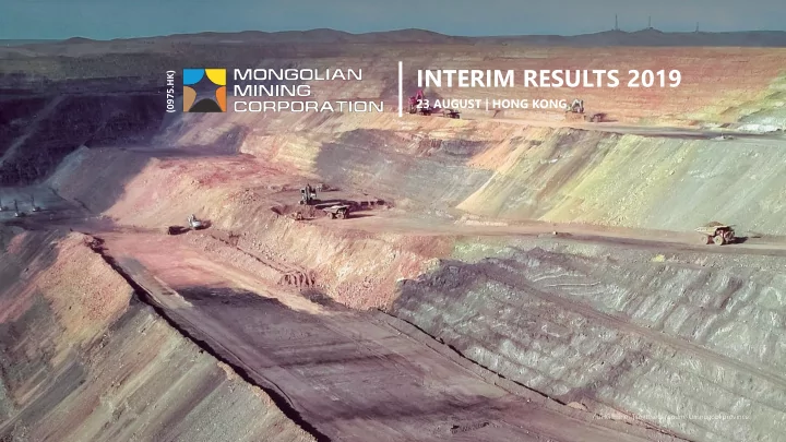 interim results 2019