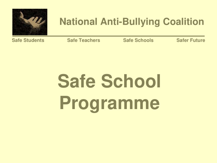 safe school programme