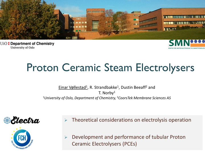 proton ceramic steam electrolysers