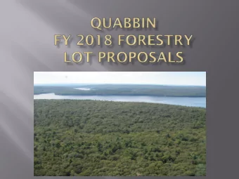 Raccoon Hill Lot (north)  This 465 acre lot contains  red  pine, white pine, white pine/