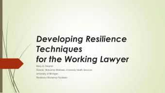 Developing Resilience  Techniques  for the Working Lawyer  Mary Jo Desprez  Director, Wolverine