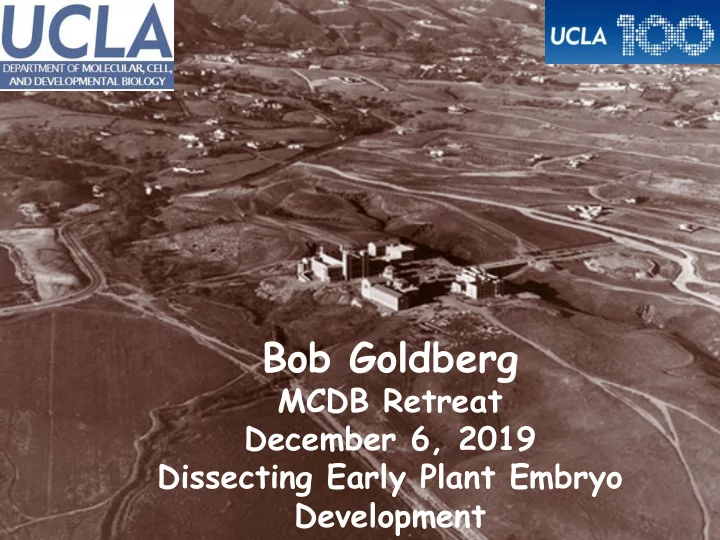 bob goldberg