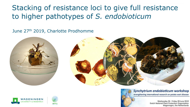 stacking of resistance loci to give full resistance to