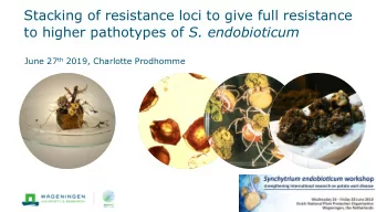 Stacking of resistance loci to give full resistance to higher pathotypes of S. endobioticum June 27