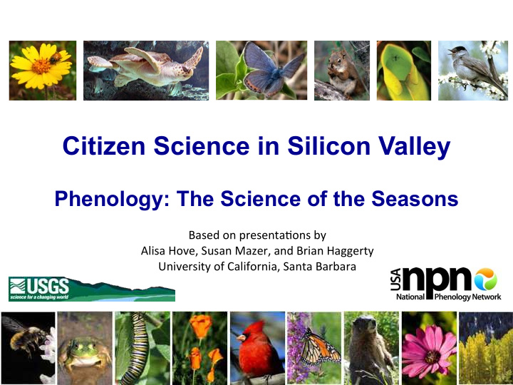 citizen science in silicon valley