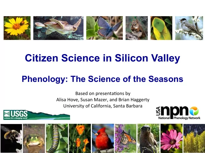 citizen science in silicon valley
