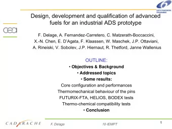 Design, development and qualification of advanced  fuels for an industrial ADS prototype  F.