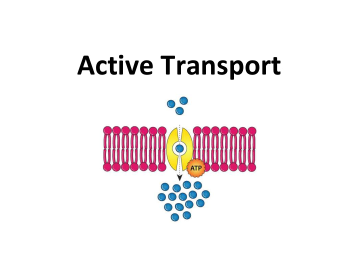 active transport active transport requires energy