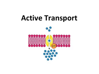 Active Transport  Active Transport Requires Energy  Why does active transport require energy?