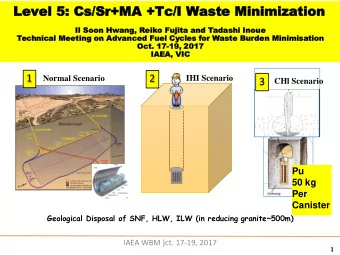 Level  l 5:  : Cs/Sr+MA +Tc/I W  Waste Minimization  Il  l Soo  Soon  n Hwang  Hwang,  , Reik  eiko