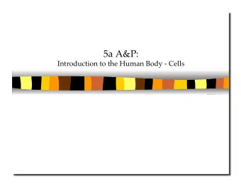 5a A&amp;P: Introduction to the Human Body - Cells 5a A&amp;P: Introduction to the Human Body -