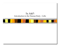 5a a p introduction to the human body cells 5a a p