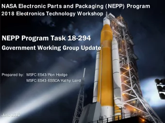 NEPP Program Task 18-294  Government Working Group Update  N  Prepared by: MSFC ES43/Ron Hodge