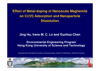 Effect of Metal-doping of Nanoscale Maghemite  on Cr(VI) Adsorption and Nanoparticle  Dissolution