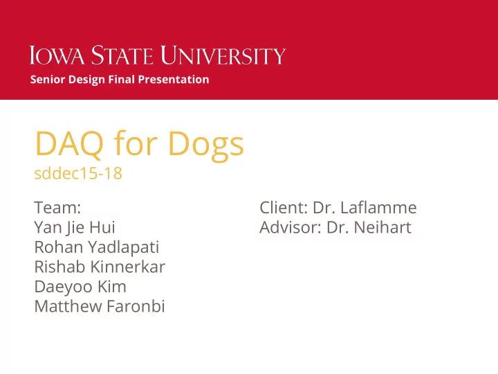 daq for dogs