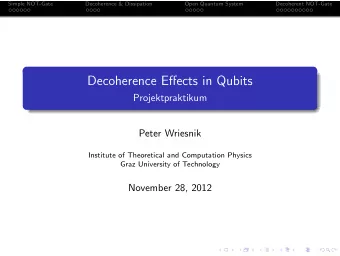 Decoherence Effects in Qubits  Projektpraktikum  Peter Wriesnik  Institute of Theoretical and