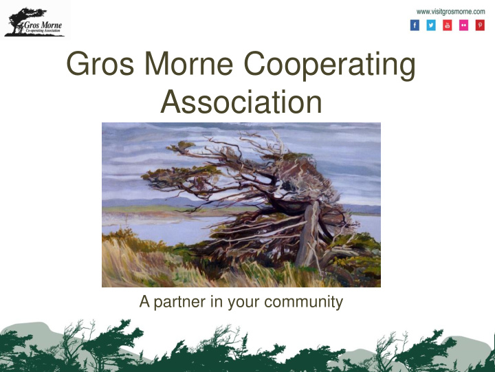 gros morne cooperating