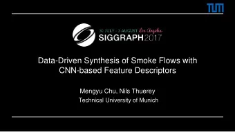 CNN-based Feature Descriptors  Mengyu Chu, Nils Thuerey  Technical University of Munich