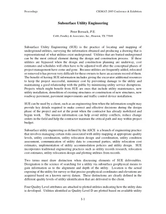 Subsurface Utility Engineering  Peter Borsack, P.E.  Cobb, Fendley &amp; Associates, Inc., Houston,