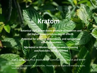 Kratom  Botanical that at low doses produce stimulation and  at higher doses produce opioid effects