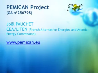 Jol PAUCHET CEA/LITEN (French Alternative Energies and Atomic  Energy Commission)  www.pemican.eu