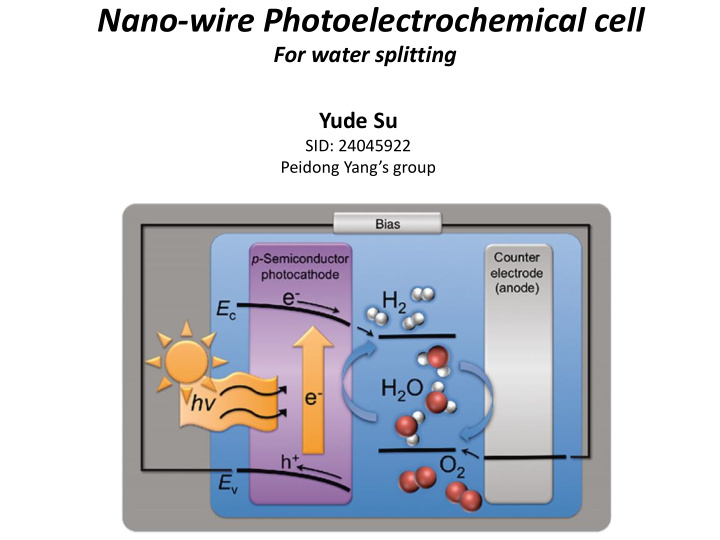 nano wire photoelectrochemical cell