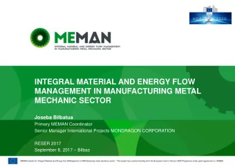 MECHANIC SECTOR  Joseba Bilbatua  Primary MEMAN Coordinator  Senior Manager International Projects