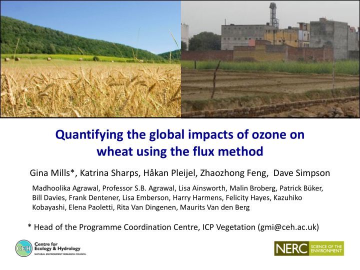 quantifying the global impacts of ozone on