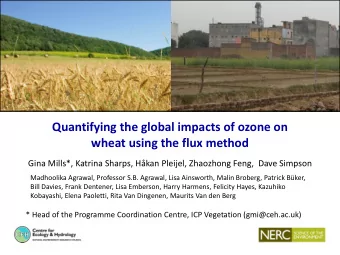 Quantifying the global impacts of ozone on  wheat using the flux method  Gina Mills*, Katrina
