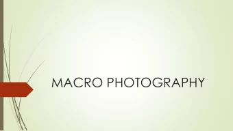 MACRO PHOTOGRAPHY  Definition  Macro refers to the fact that the size of the subject is the actual